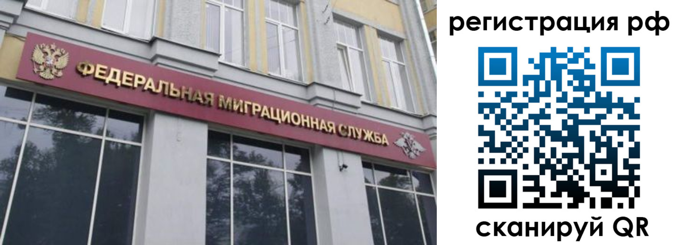 прописка законно в Чкаловске