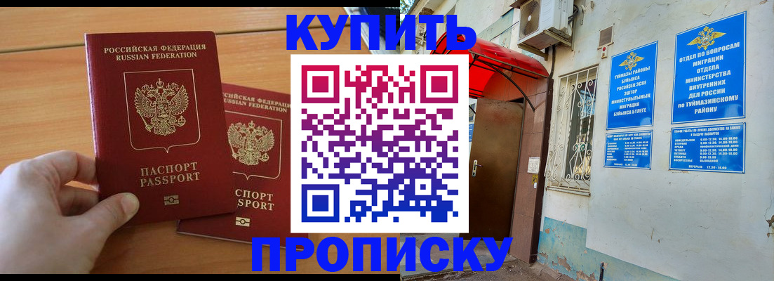 прописка штамп в Чкаловске